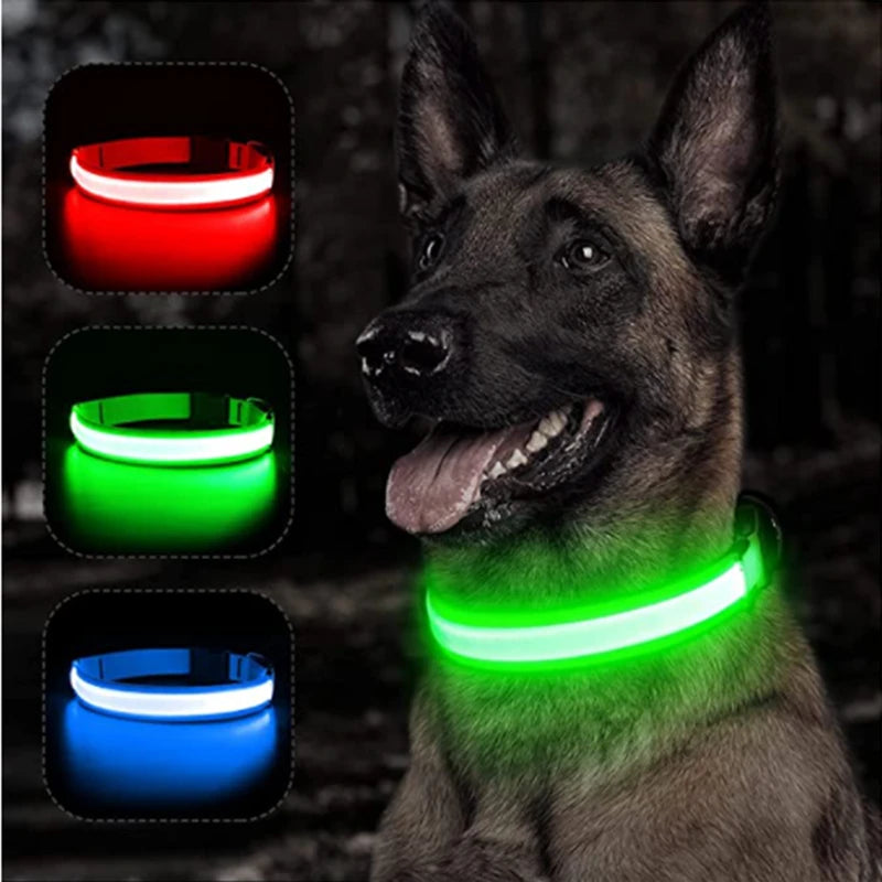 LED Rechargeable Adjustable Dog Collar