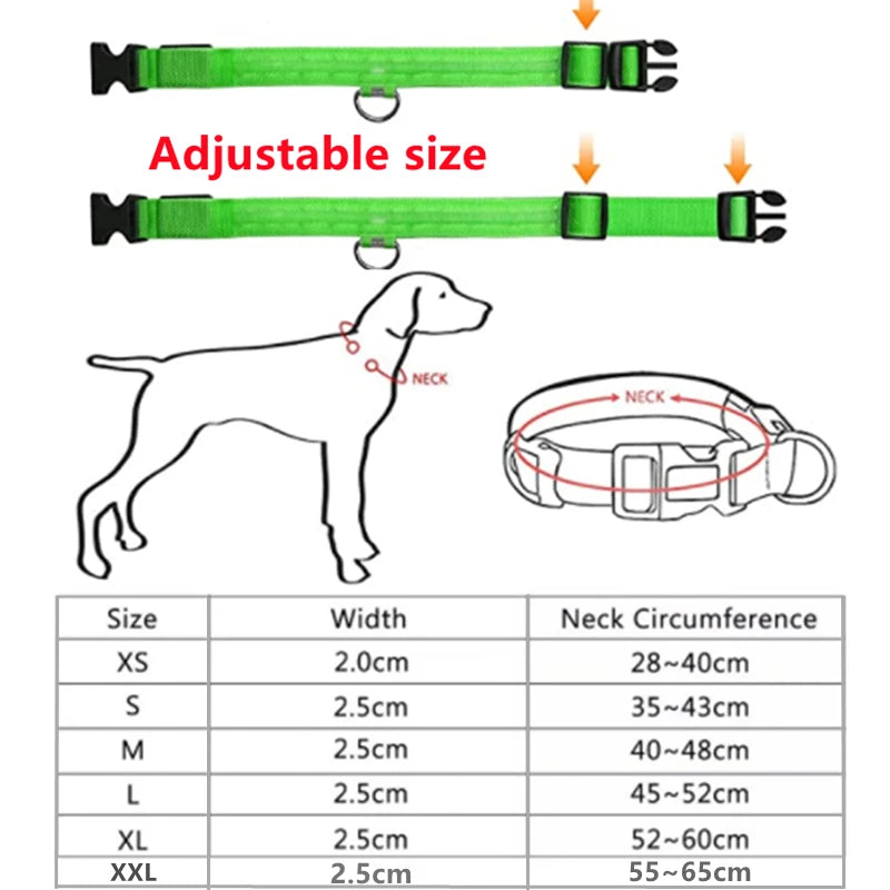LED Rechargeable Adjustable Dog Collar