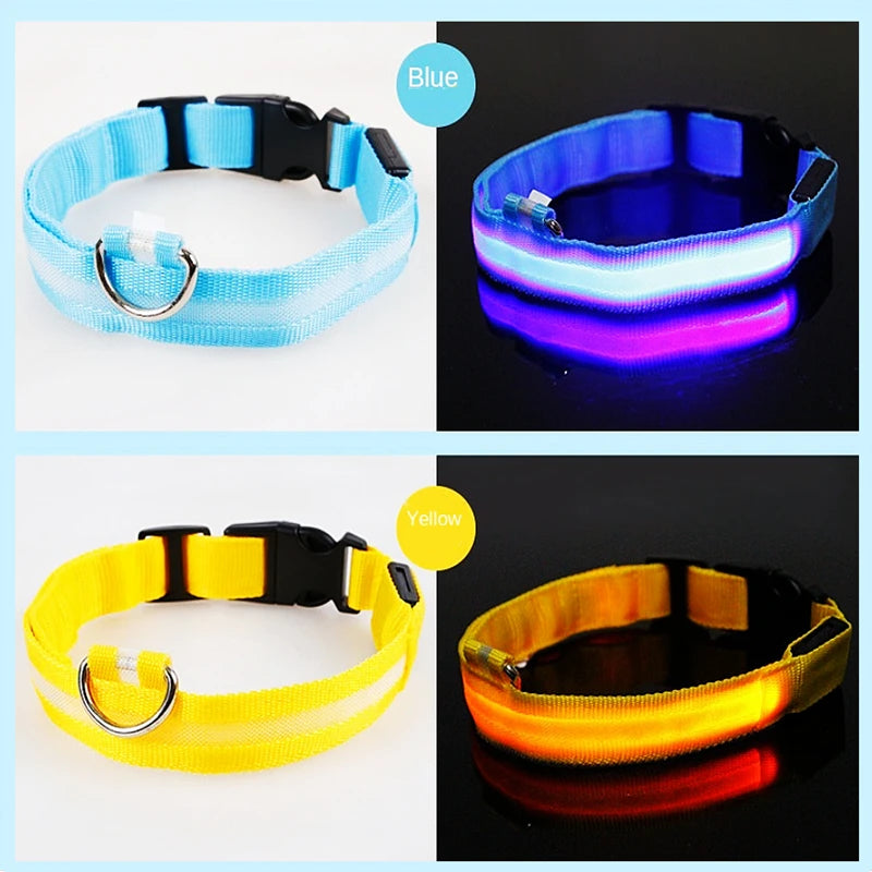 LED Rechargeable Adjustable Dog Collar