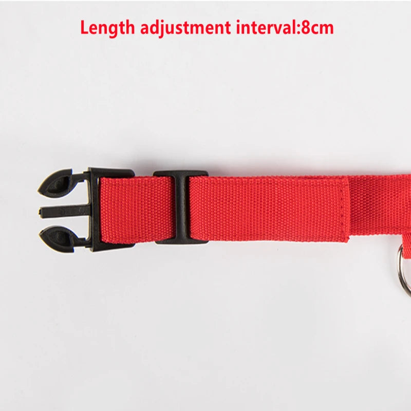 LED Rechargeable Adjustable Dog Collar
