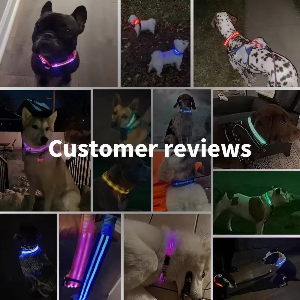 LED Rechargeable Adjustable Dog Collar