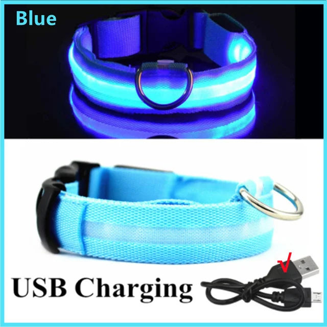LED Rechargeable Adjustable Dog Collar