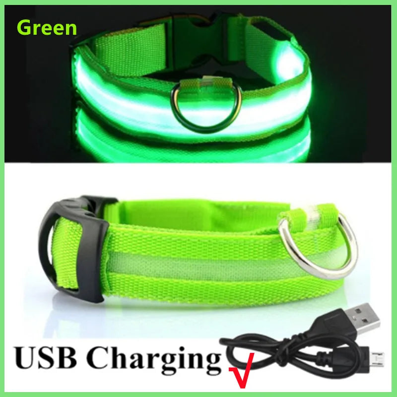 LED Rechargeable Adjustable Dog Collar
