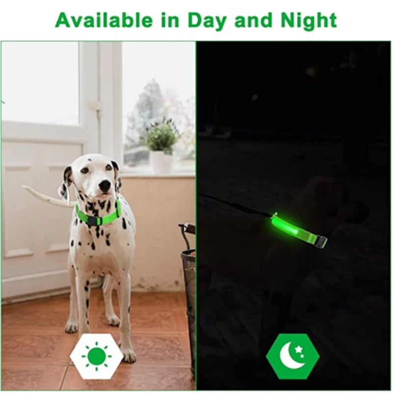 LED Rechargeable Adjustable Dog Collar