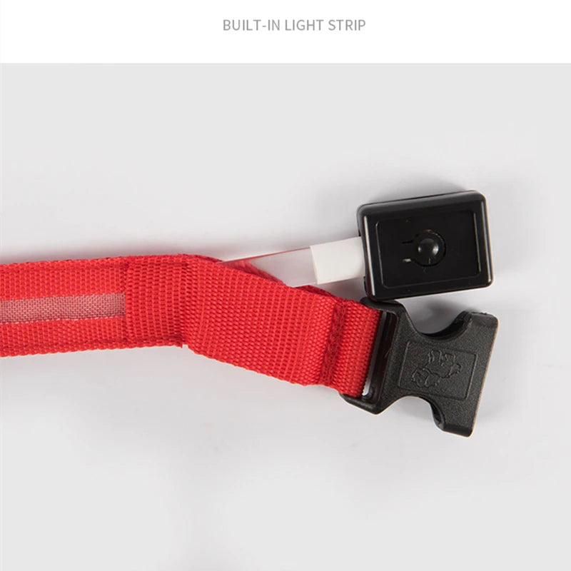 LED Rechargeable Adjustable Dog Collar