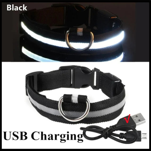 LED Rechargeable Adjustable Dog Collar
