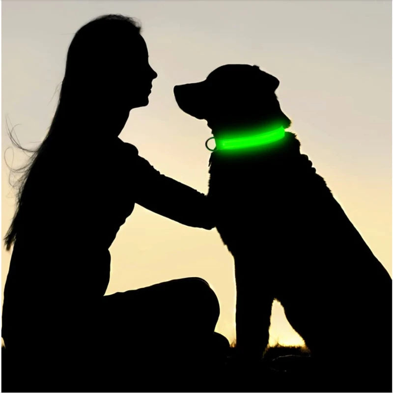 LED Rechargeable Adjustable Dog Collar
