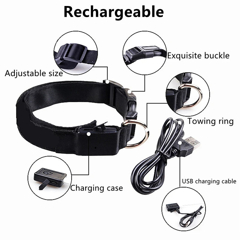 LED Rechargeable Adjustable Dog Collar