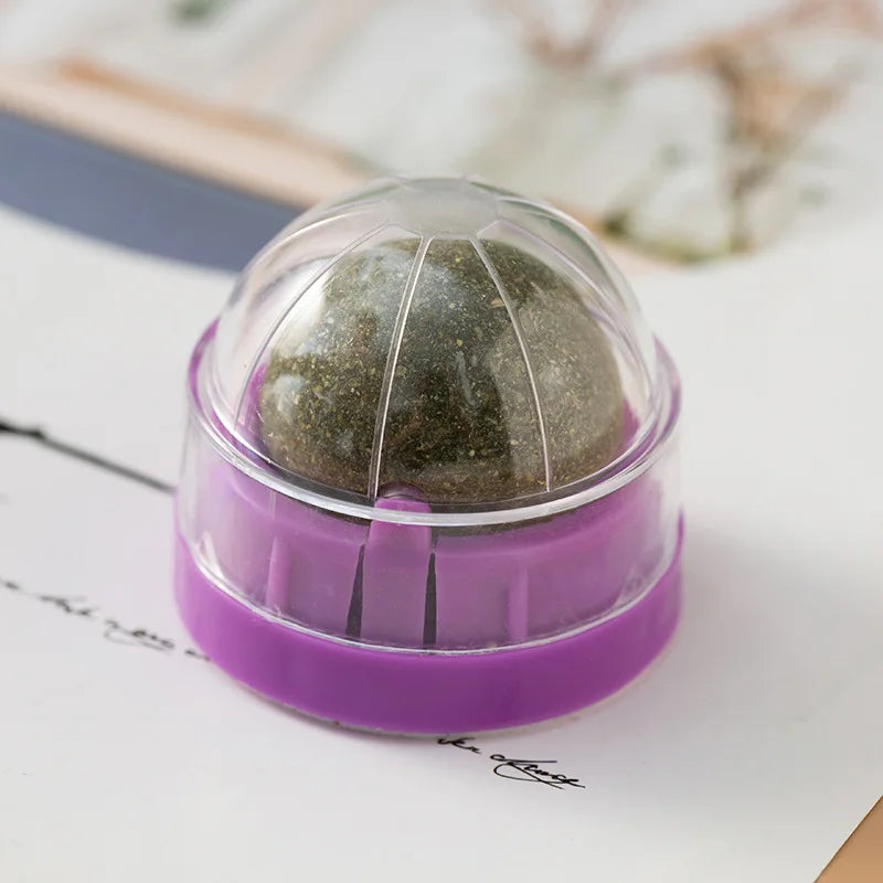 Catnip Wellness Wall Toy Purple