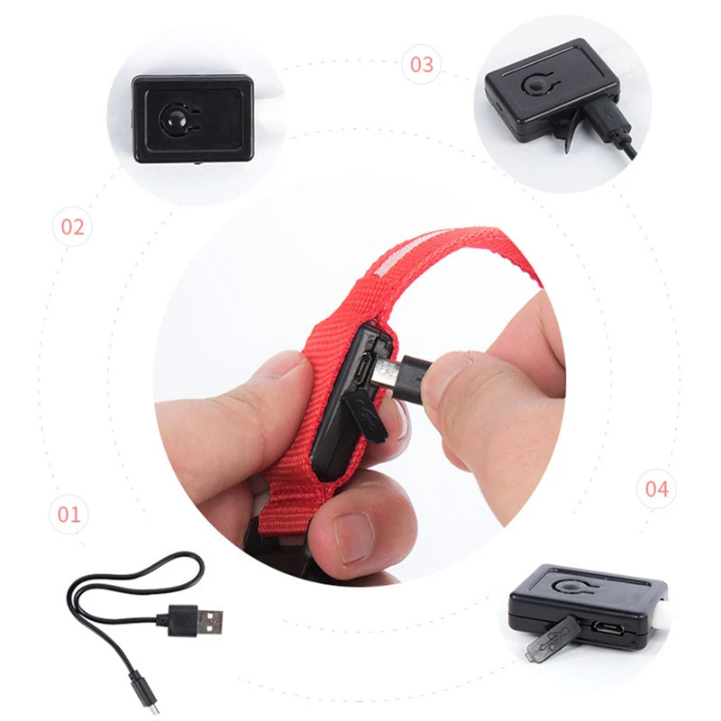 LED Rechargeable Adjustable Dog Collar