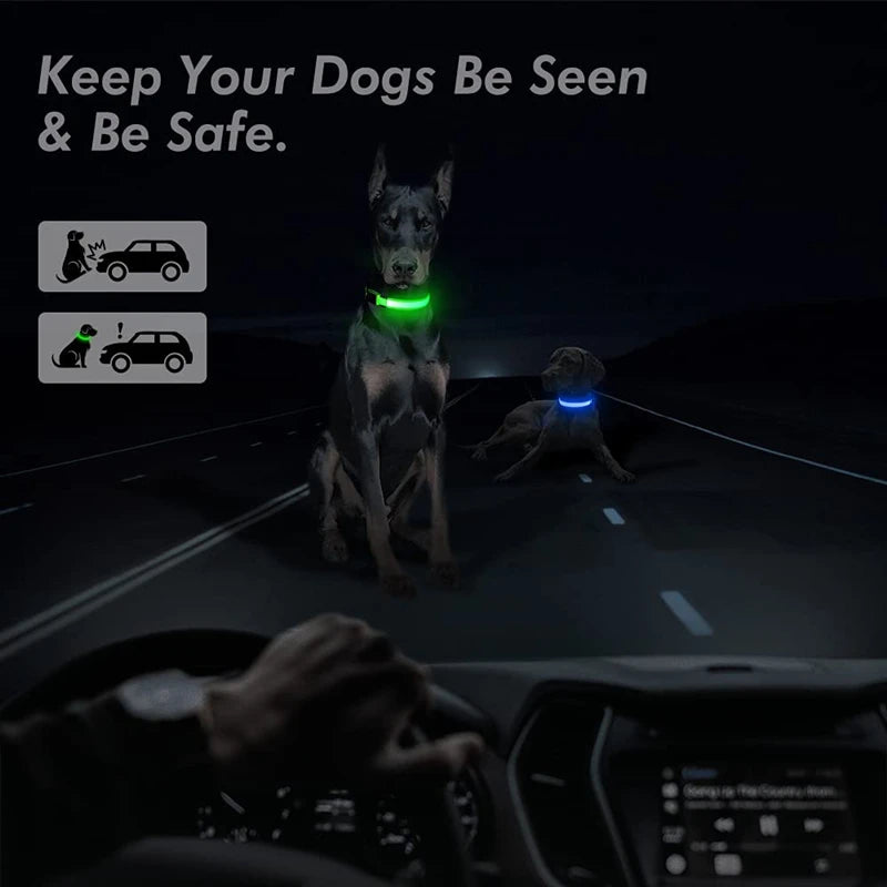 LED Rechargeable Adjustable Dog Collar