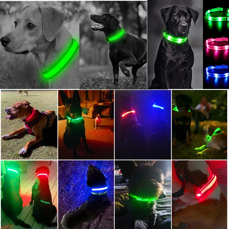 LED Rechargeable Adjustable Dog Collar