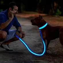 LED Rechargeable Adjustable Dog Collar