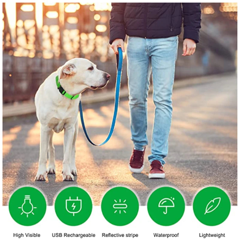 LED Rechargeable Adjustable Dog Collar