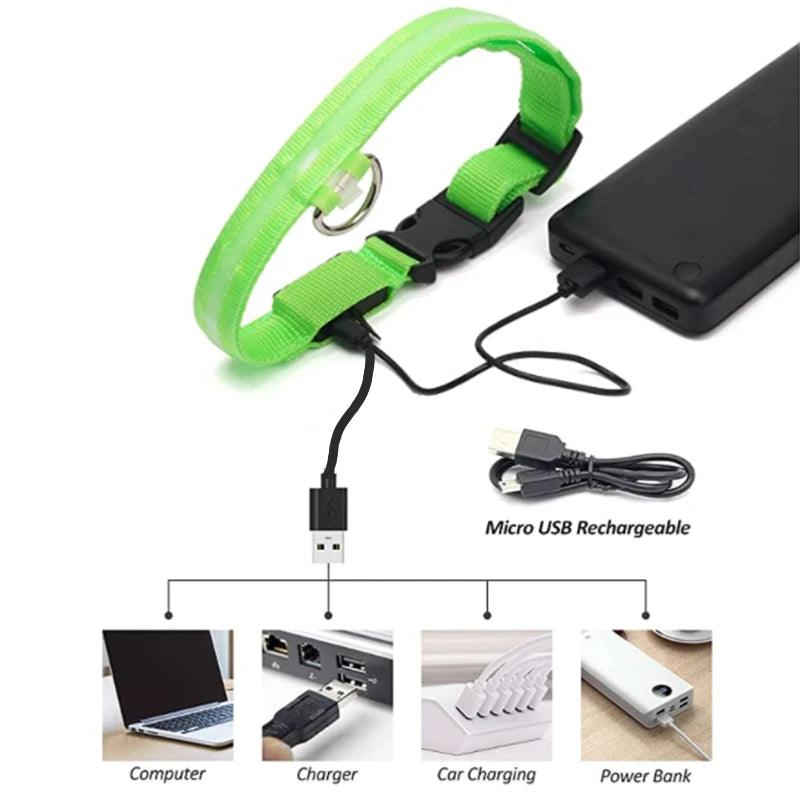 LED Rechargeable Adjustable Dog Collar