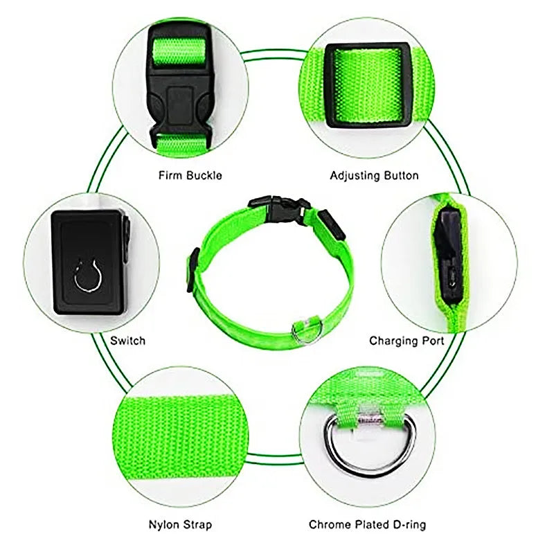 LED Rechargeable Adjustable Dog Collar