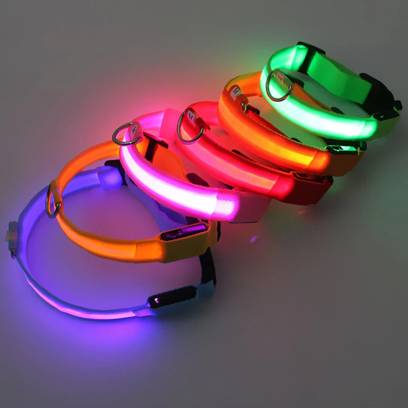 LED Rechargeable Adjustable Dog Collar