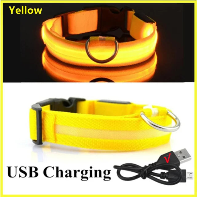 LED Rechargeable Adjustable Dog Collar