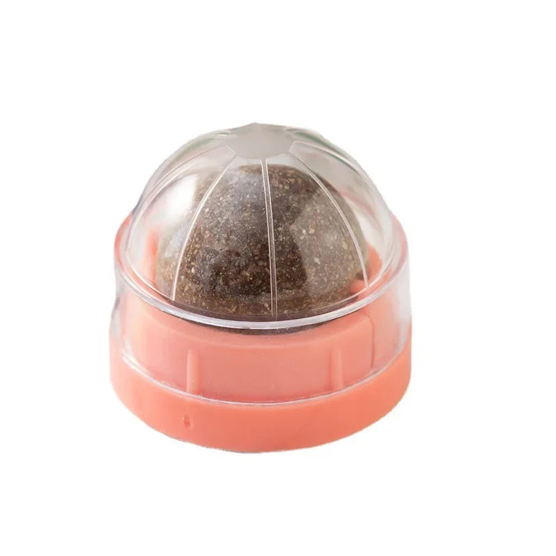 Catnip Wellness Wall Toy Pink
