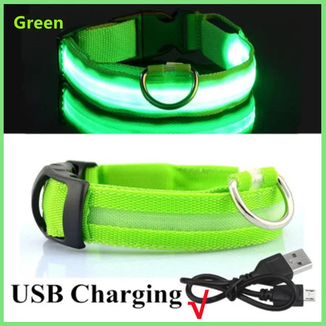 LED Rechargeable Adjustable Dog Collar