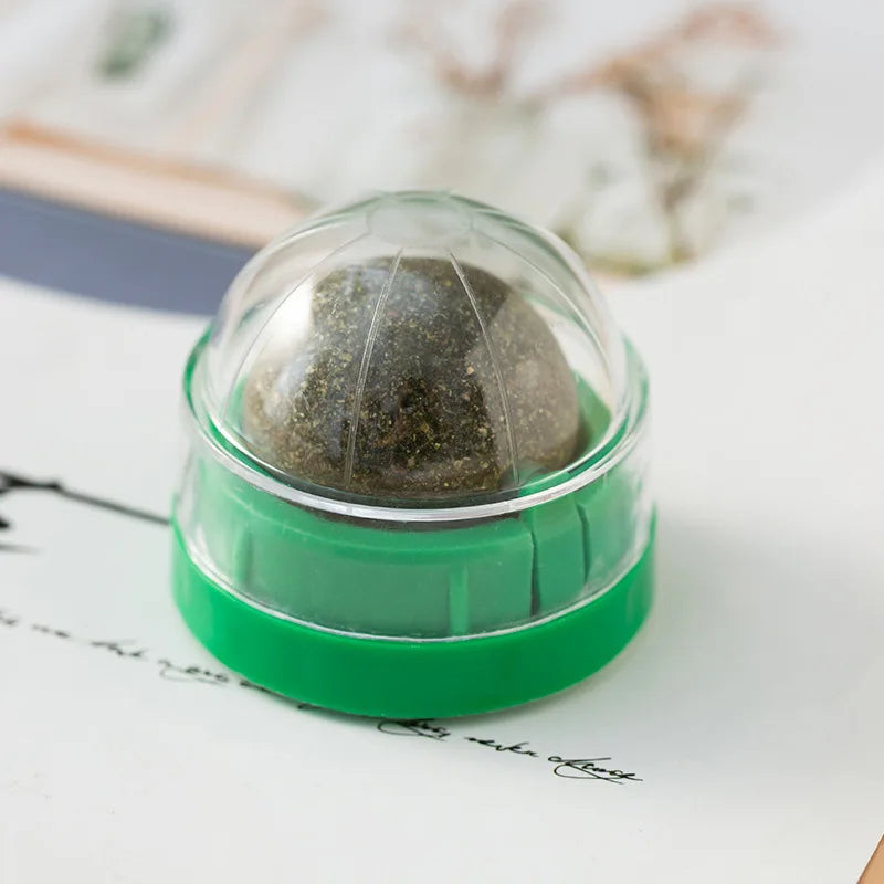 Catnip Wellness Wall Toy Green