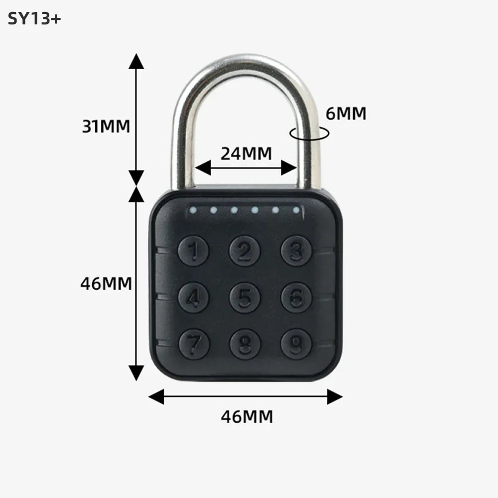 Smart Biometric Fingerprint Lock