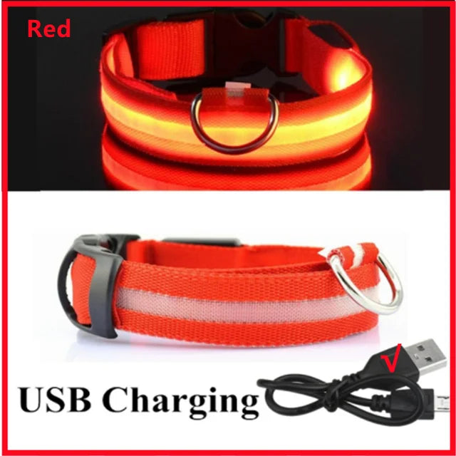 LED Rechargeable Adjustable Dog Collar