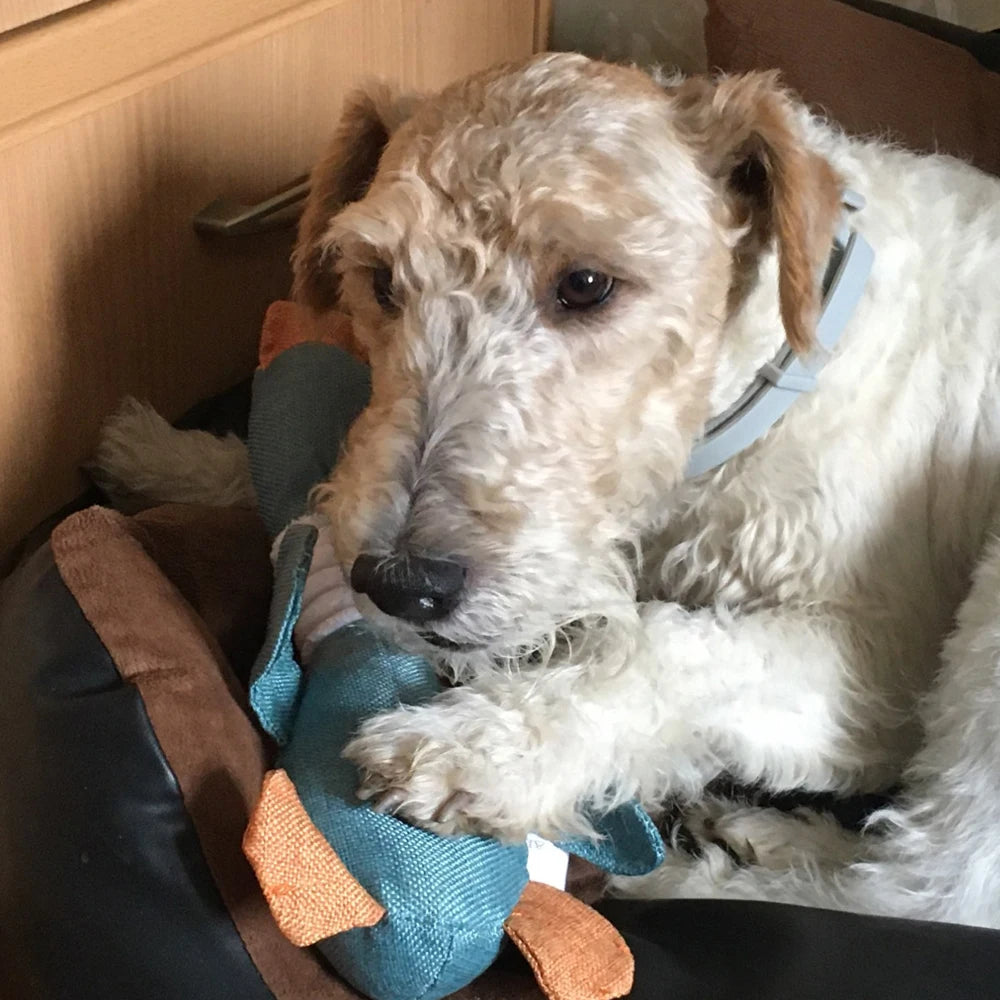 Wild Goose Sound Dog Chew Toy