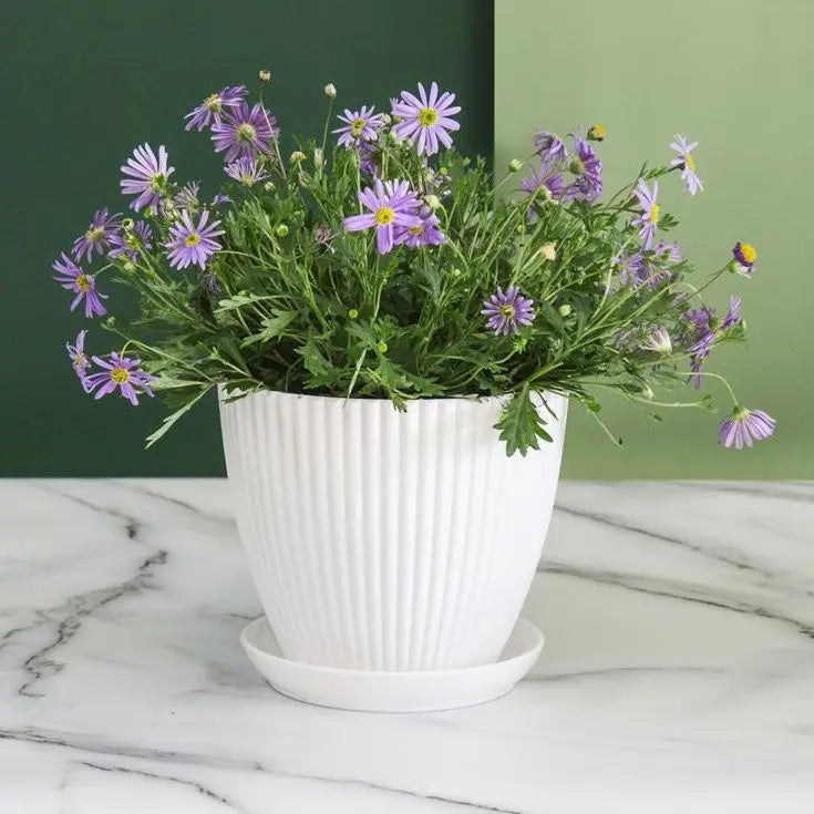 Flower Pot Round Planters