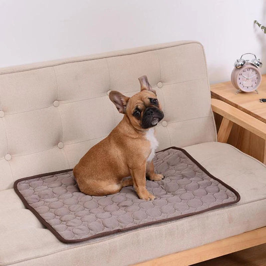 Dog Cooling Mat - The Perfect Gift for Pet Lovers!