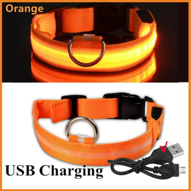 LED Rechargeable Adjustable Dog Collar