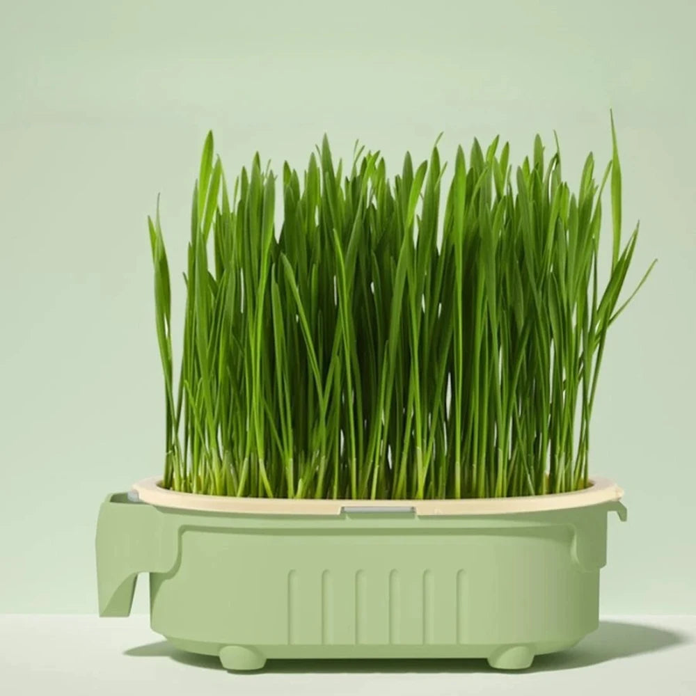 Hydroponic Cat Grass Growing Kit