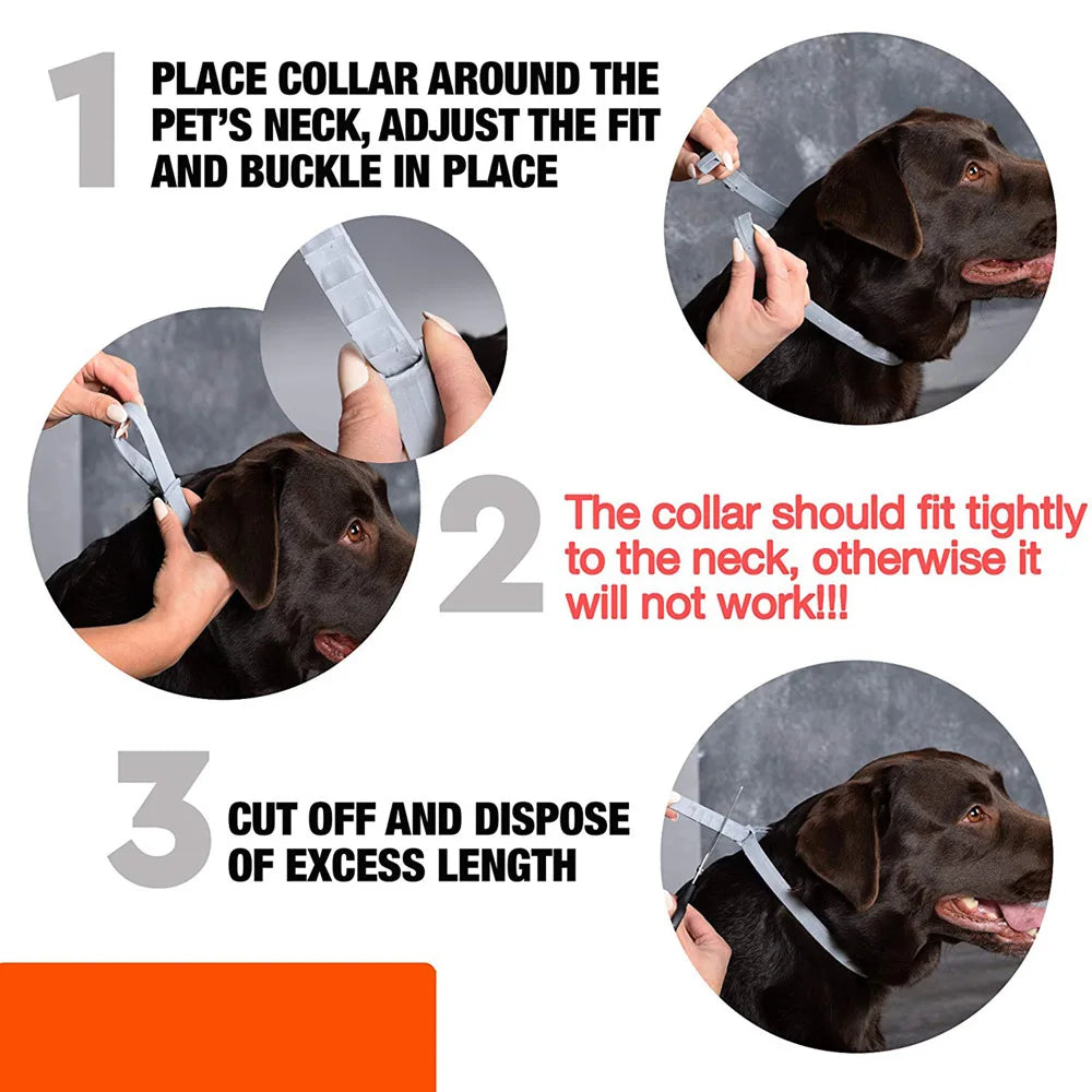 PestGuard 8-Month Pet Protection Collar