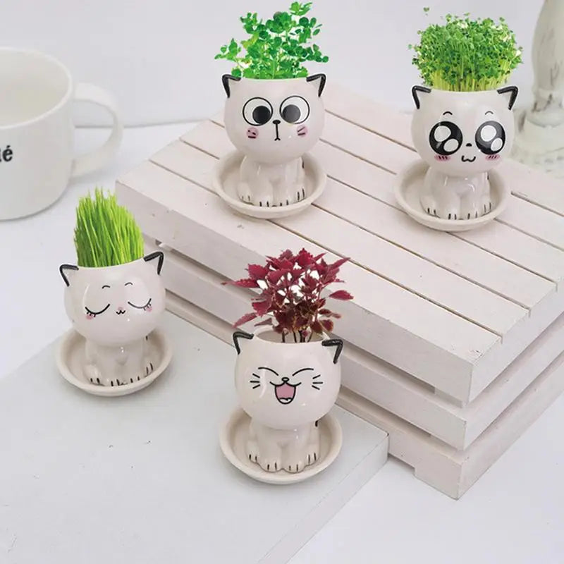 Cat Ceramic Planters Hi