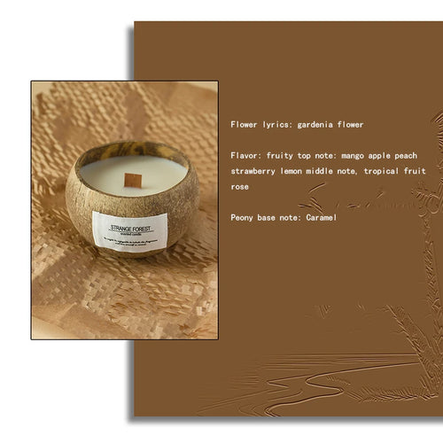 Coconut Shell Aromatherapy Candle Essential Oil Fragrance Premium