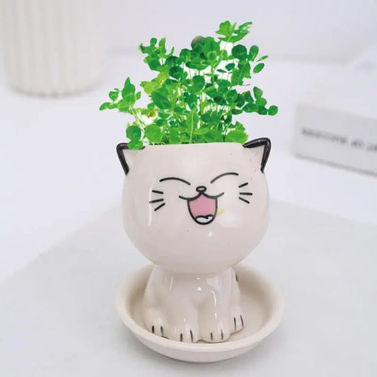 Cat Ceramic Planters