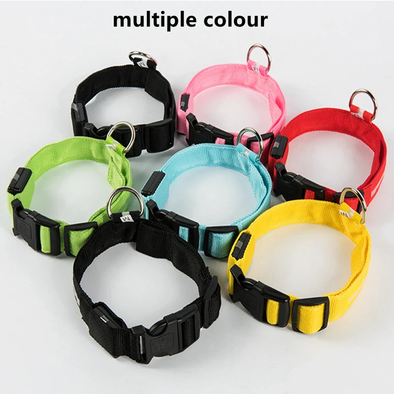 LED Rechargeable Adjustable Dog Collar