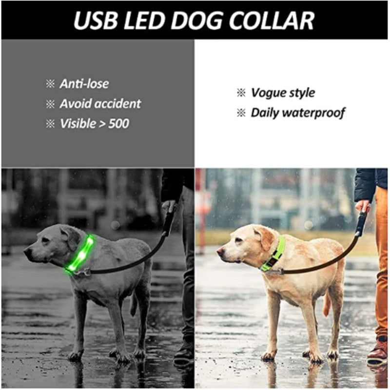 LED Rechargeable Adjustable Dog Collar