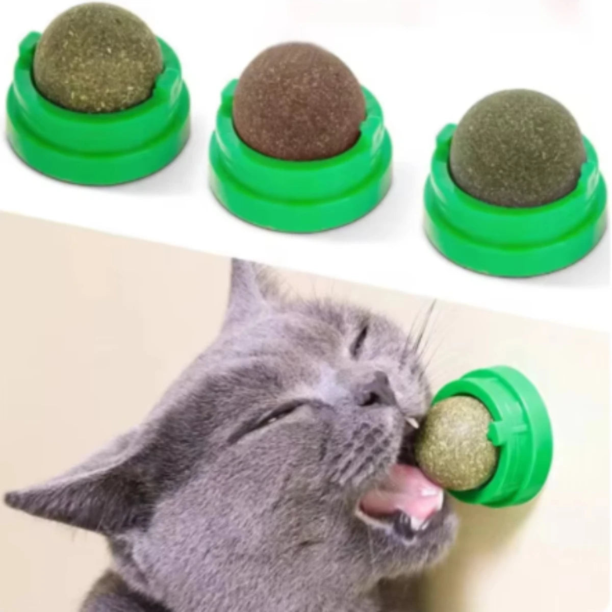 Catnip Wellness Wall Toy