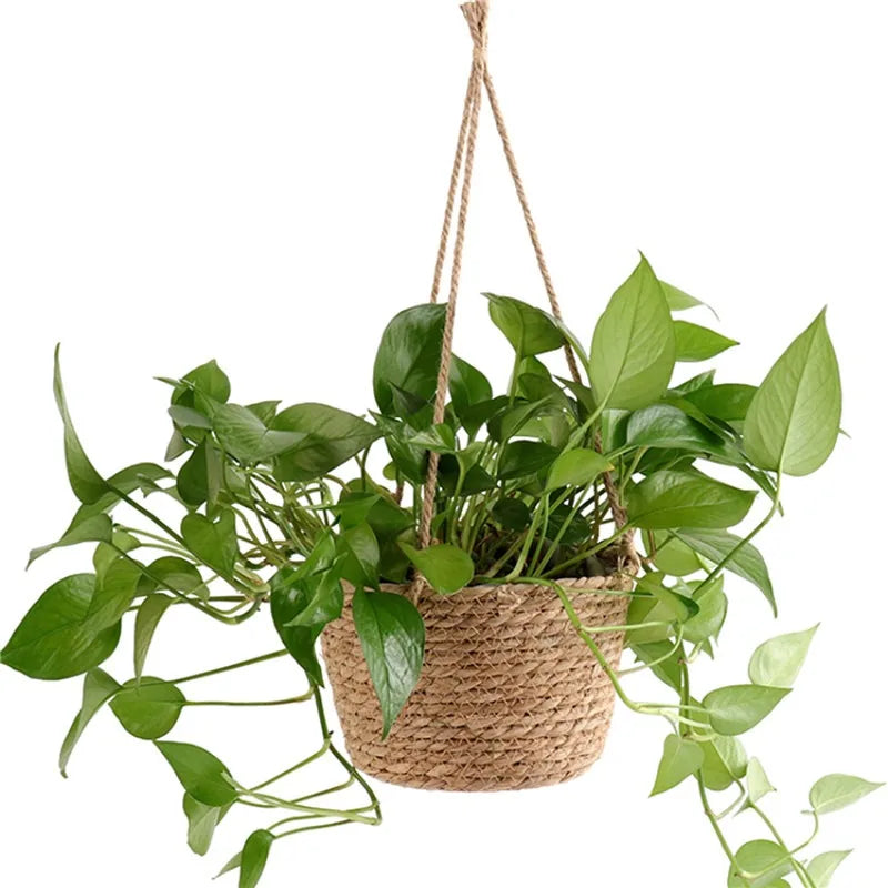 Macrame Hanging Planter Storage Basket
