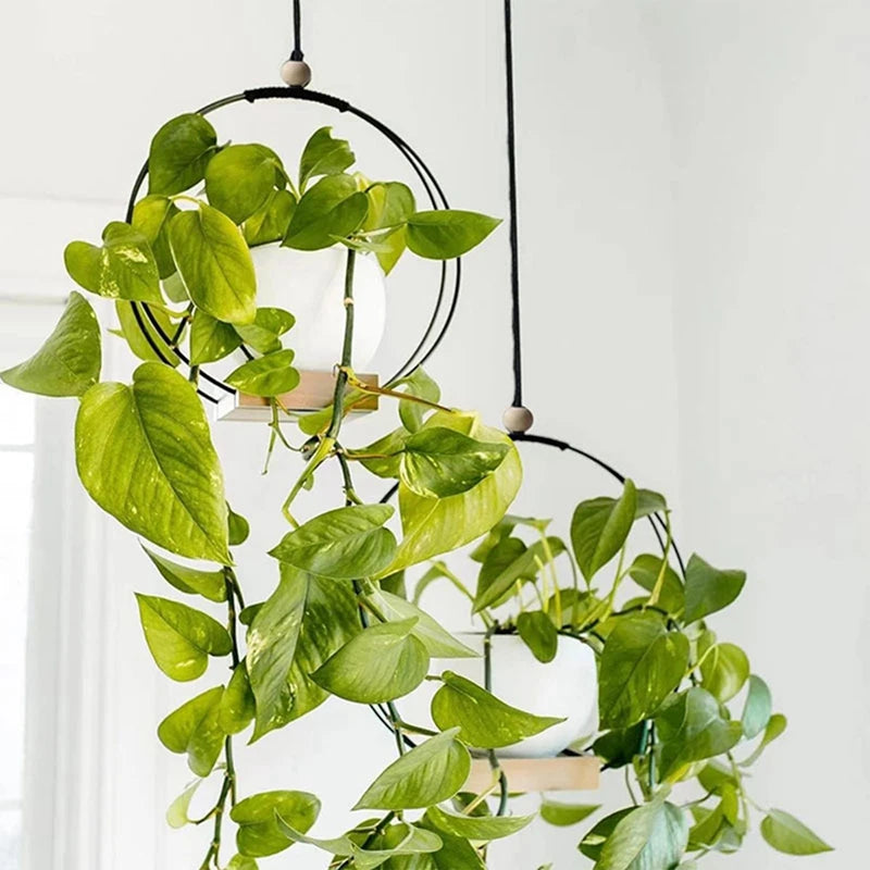 Hanging Flower Pot Shelf